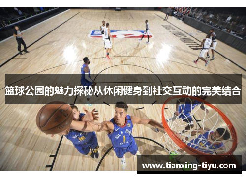 篮球公园的魅力探秘从休闲健身到社交互动的完美结合