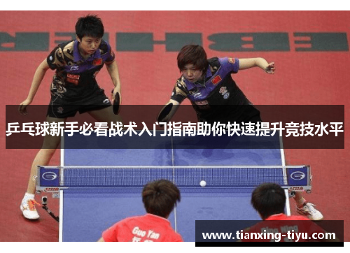 乒乓球新手必看战术入门指南助你快速提升竞技水平