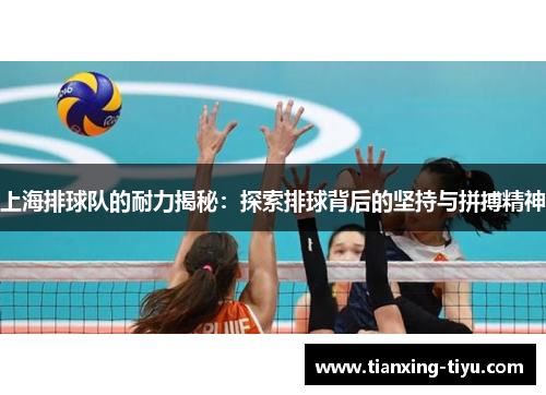 上海排球队的耐力揭秘：探索排球背后的坚持与拼搏精神